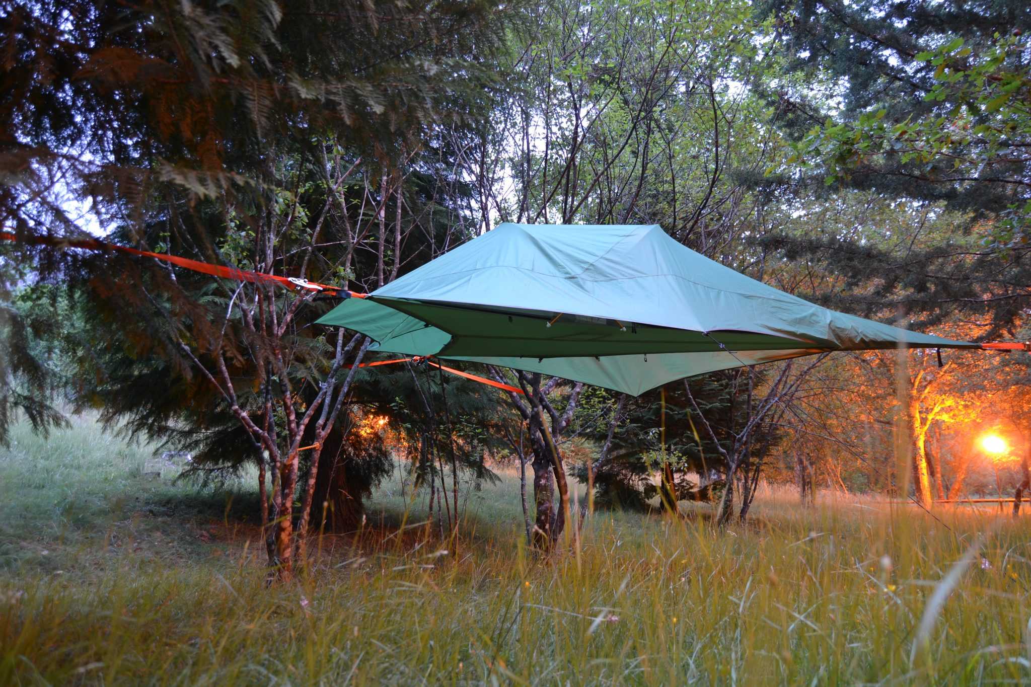Tenda nas árvores noite