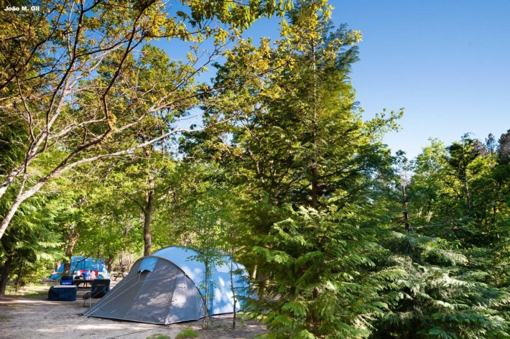 Parcela de 80m2 - camping - cerdeira