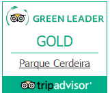 Green Leader Tripadvisor