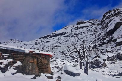 Neve - Autonomia Neve - Autonomia