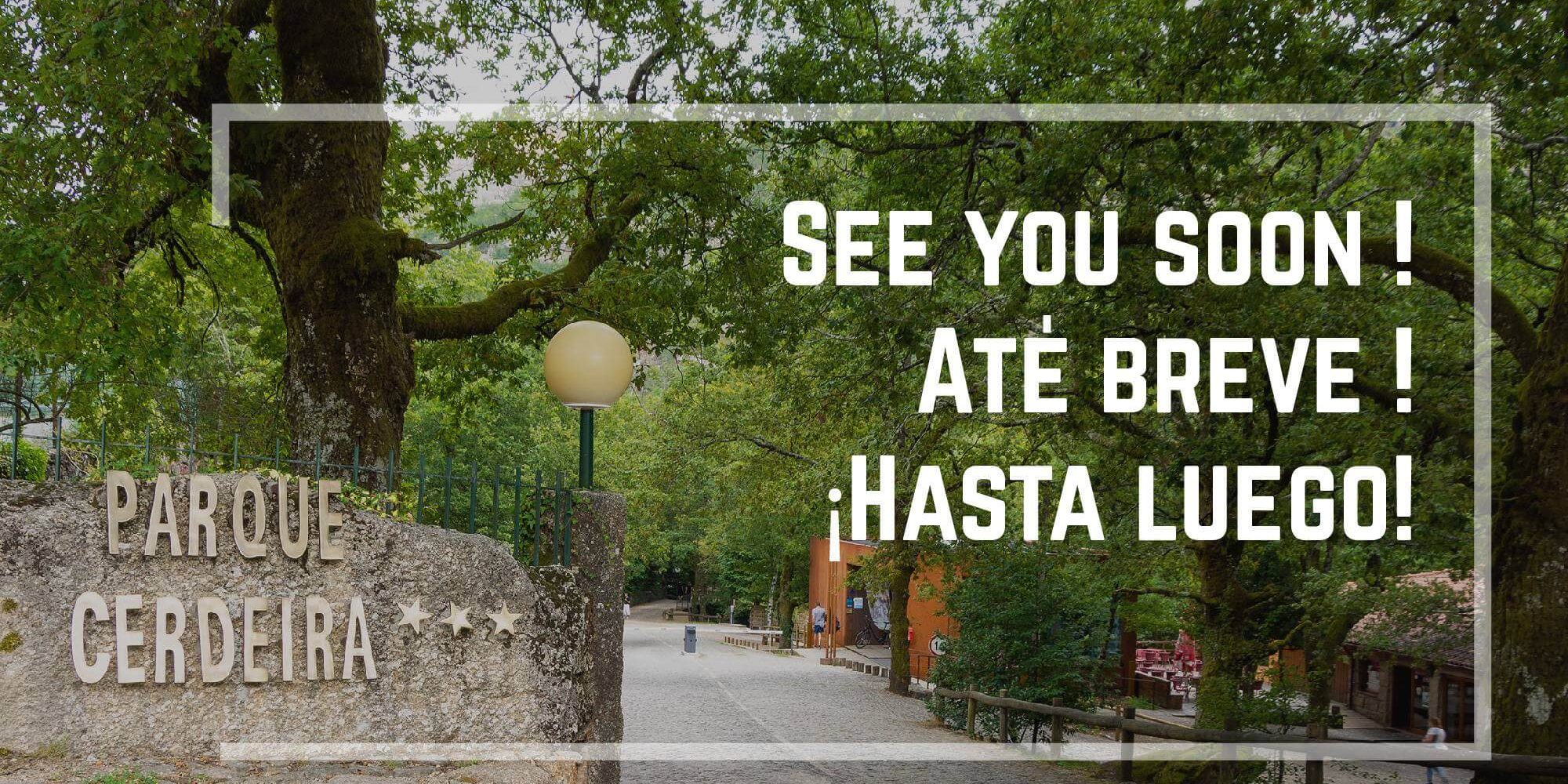 2020-facebook-fechados-Covid-04