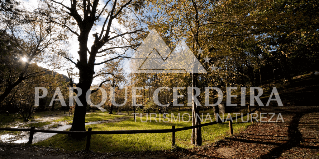 Parque-Cerdeira-Prado-geres-camping-houses