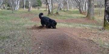Valorização-ambiental