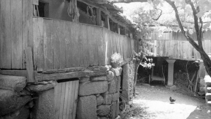 À Descoberta da Aldeia