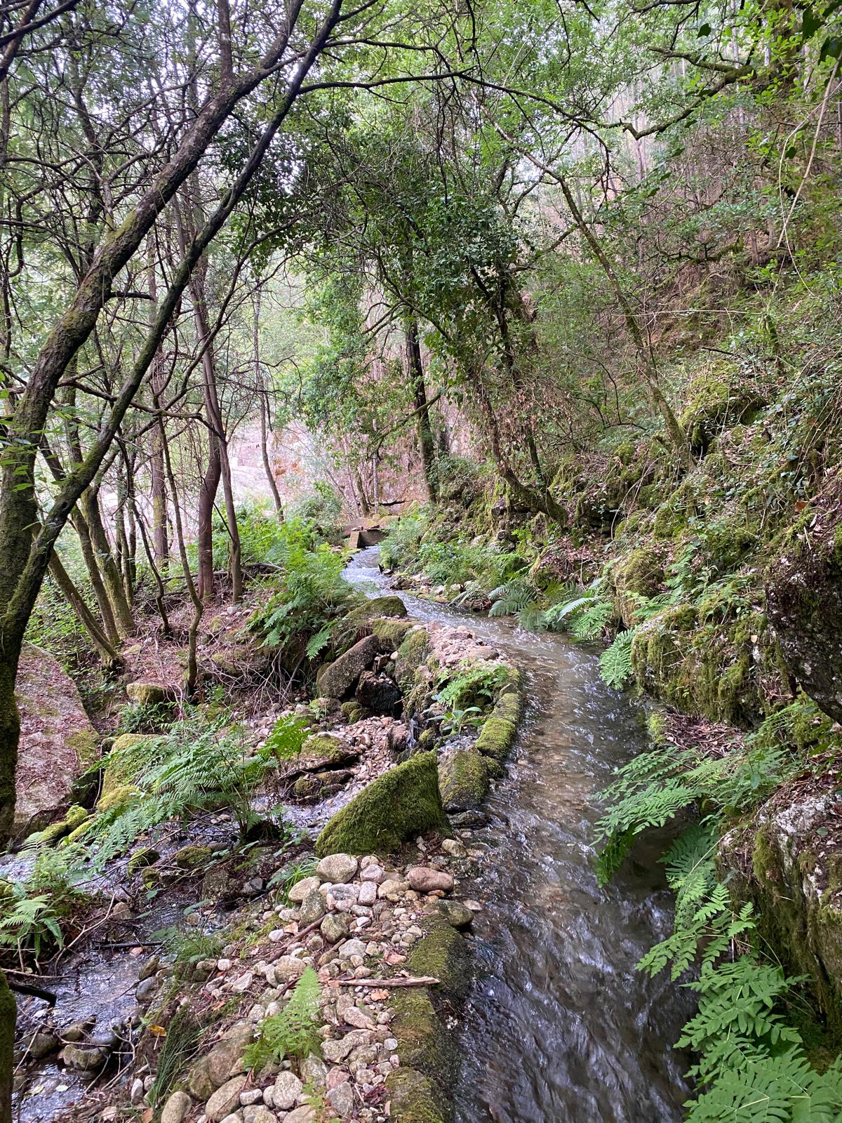 Rio Seco_Levada do Diabo
